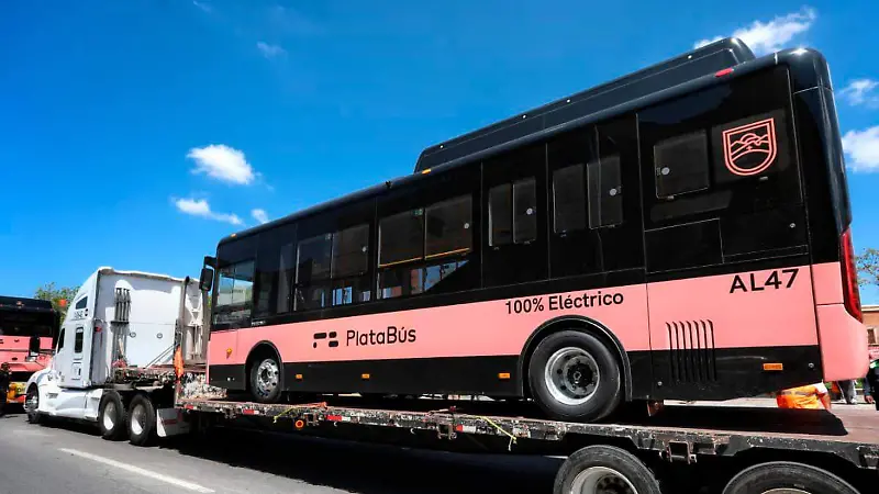 Unidad de Platabús